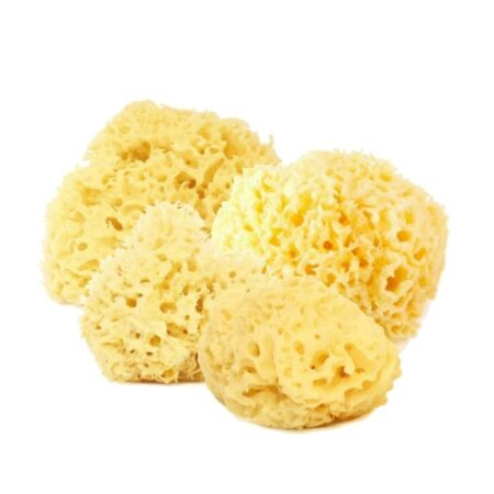 4 MIX NATURAL SPONGE 4-6cm (FÖR ANSIKTET)