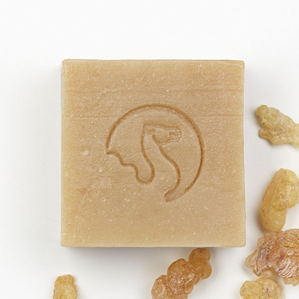 The-Camel-Soap-Factory-Healing-top-view