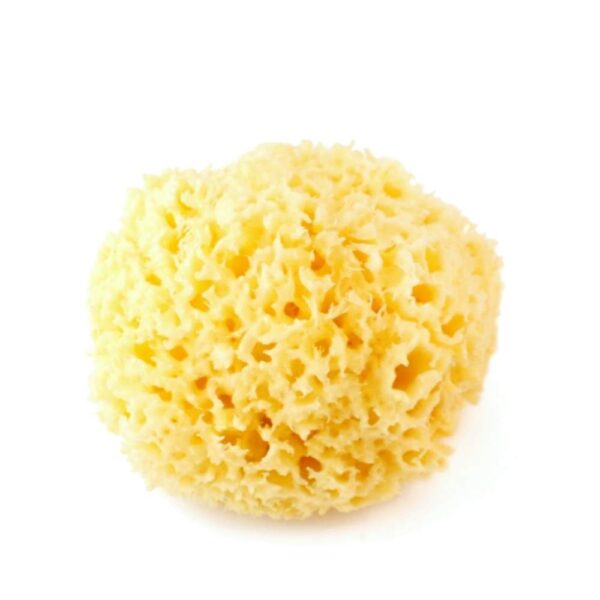 body-yellow-honeycomb-m